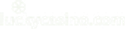 Lucky Casino Logo